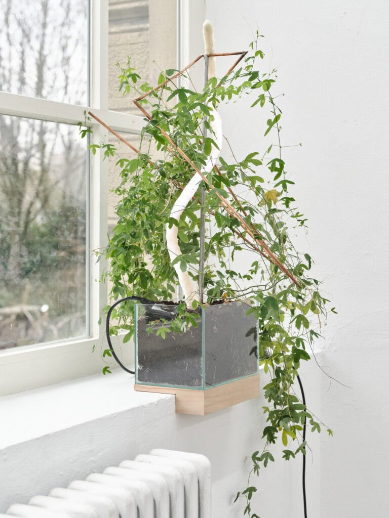 Foto: Kunstwerke in Galerieraum