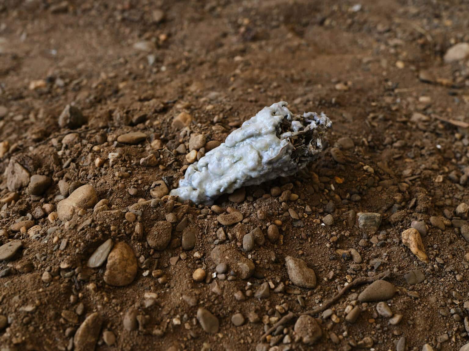 Foto: Kunstwerke in Galerieraum