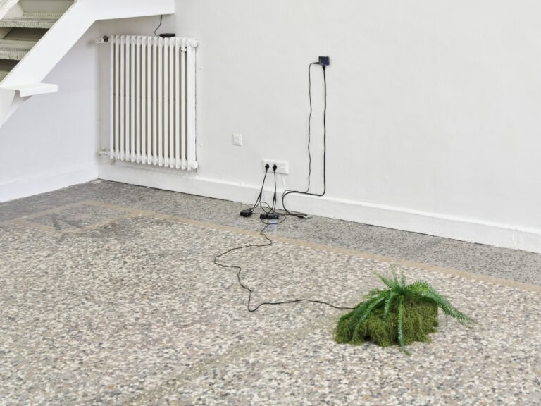 Foto: Kunstwerke in Galerieraum