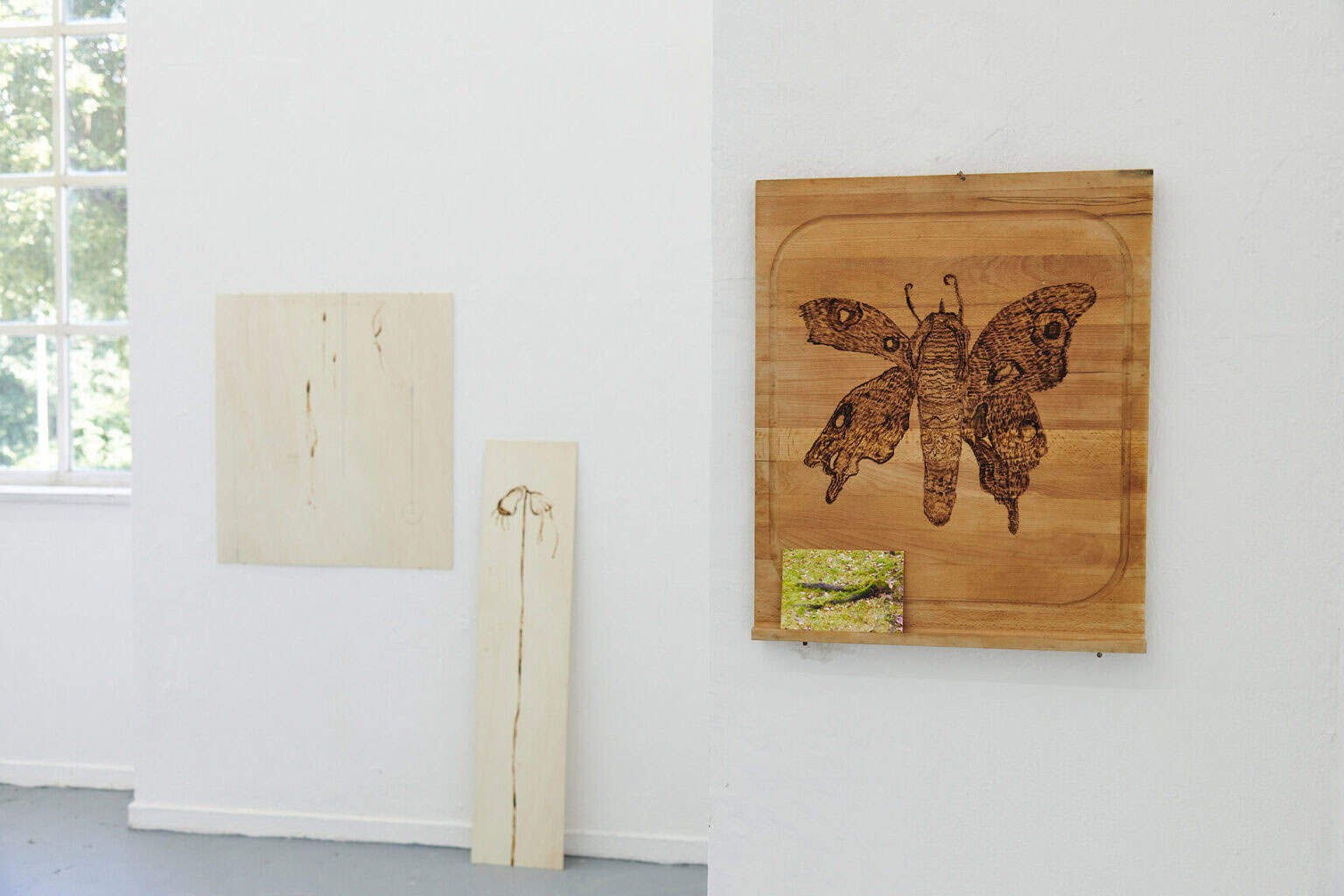 Foto: Ein Raum mit weißen Wänden, grauem Boden und einem Fenster. An den Wänden hängen und Leinen flache Objekte.