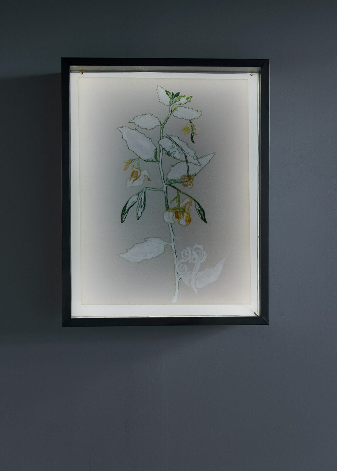 Foto: Nahaufnahme eines gerahmten Objektes auf einer weißen Wand.