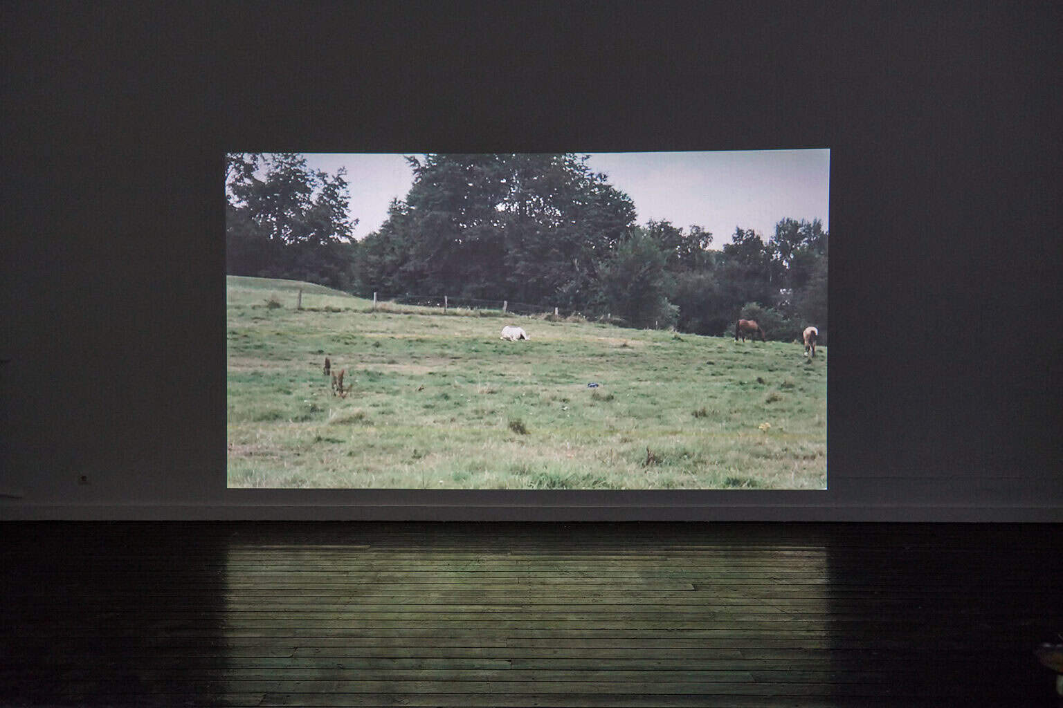 Foto: Ein abgedunkelter Raum mit Dielenboden. An die Wand wird eine großformatige Projektion geworfen.