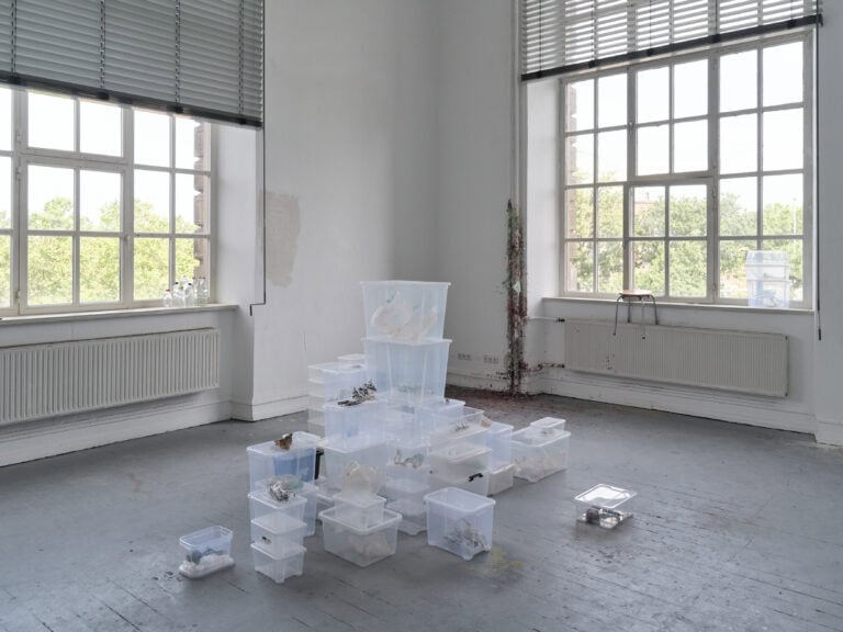 Foto: Aufnahme eines Ausstellungsraums mit weißen Wänden und grauem Boden und zwei großen Fenstern. Im Raum ist eine mehrteilige Rauminstallation aufgebaut. Mittig stehen diverse durchsichtige Plastikboxen mit unterschiedlichem Inhalt. Weitere Boxen stehen auf der Fensterbank. Flaschen gefüllt mit einer durchsichtigen Flüssigkeit stehen auf der anderen Fensterbank.
