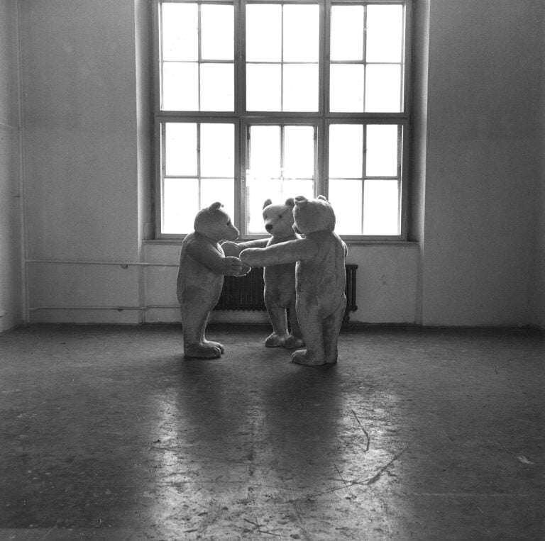 Foto: 3 Teddybären im Kreis stehend vor einem Fenster